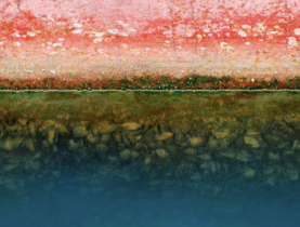 Biofouling