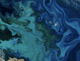 Birds eye view of ocean colours