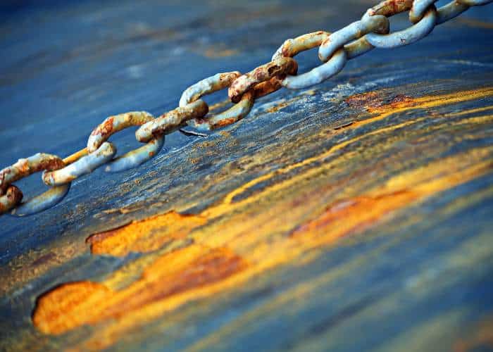 PML Applications Scientist Contributes to Groundbreaking Marine Metal Lifespan Model